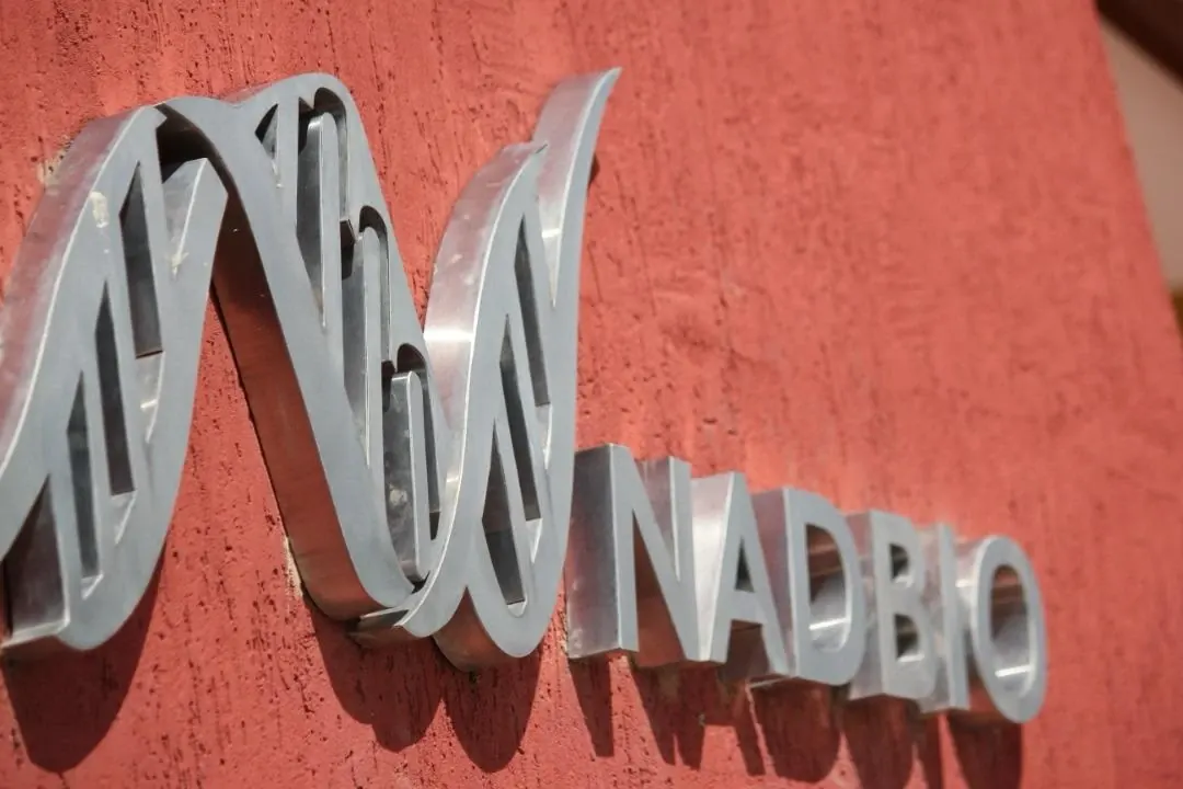 El logotipo de NADBIO en letras de metal sobre una pared terracota.